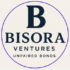 Bisora Ventures logo